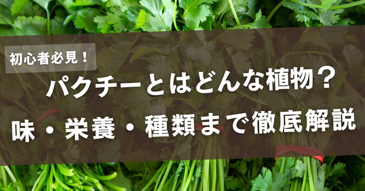 初心者必見！パクチーとはどんな植物？味・栄養・種類まで徹底解説